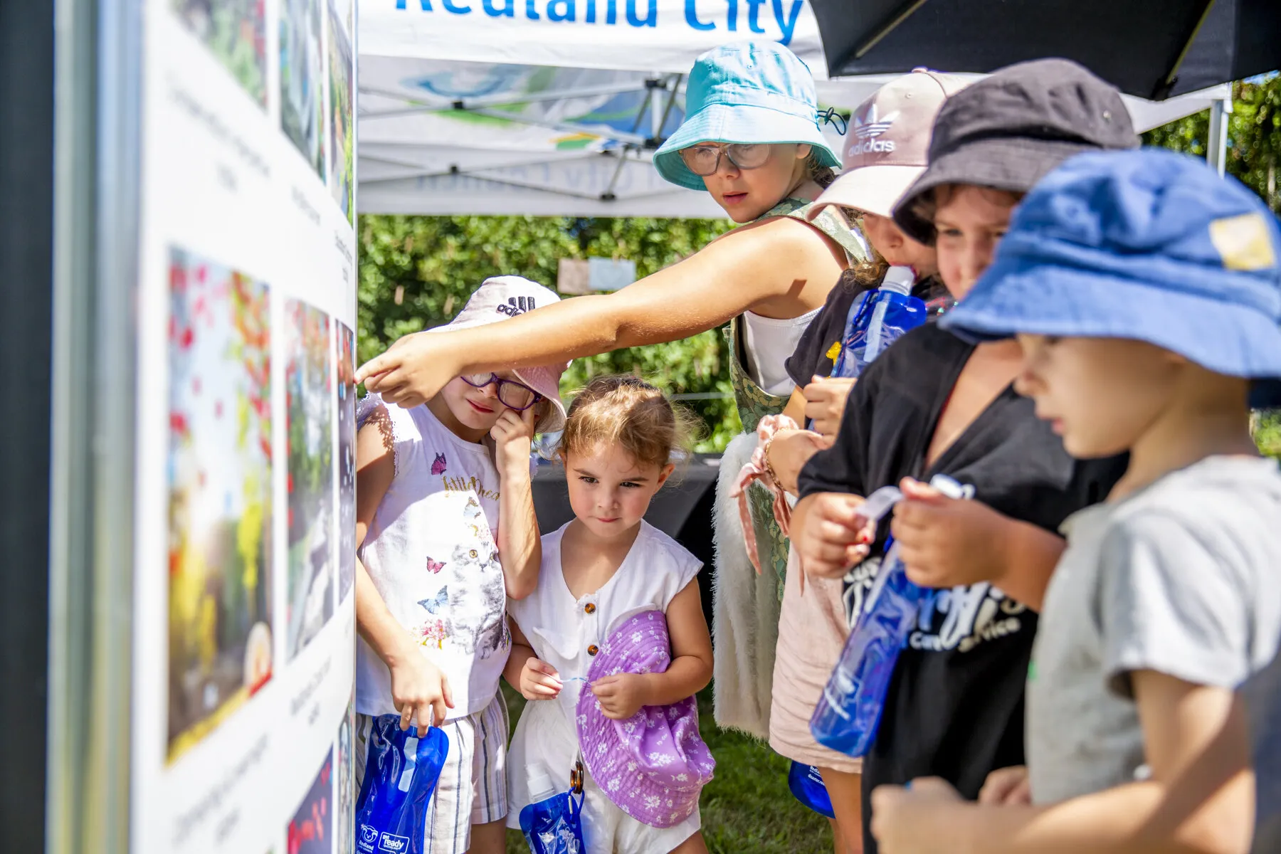 48492 educational diecast display