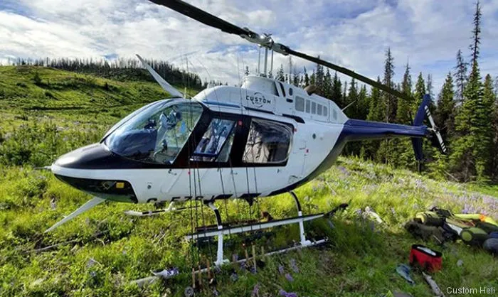 48612 detailed scale accuracy