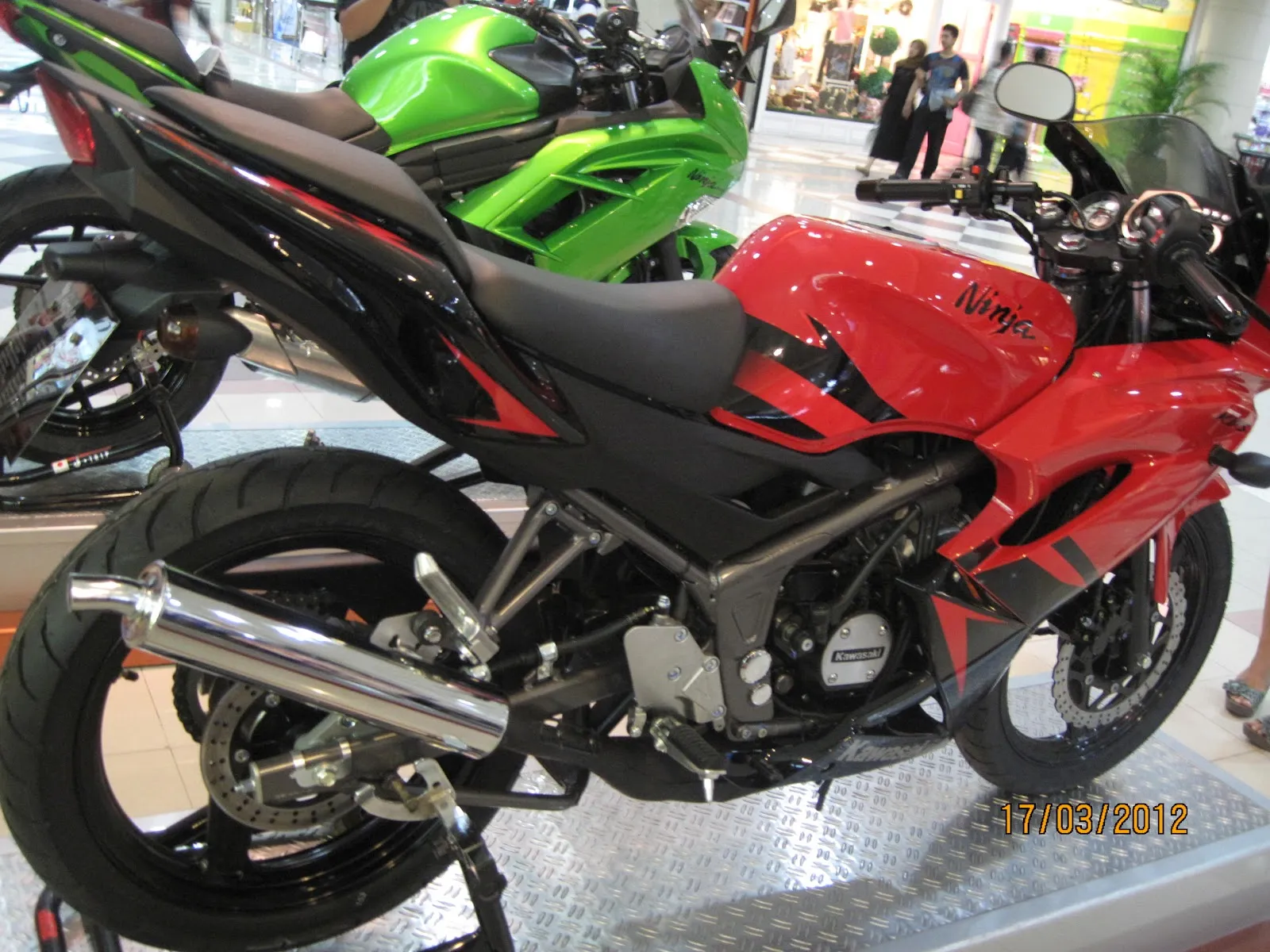 48667 ninja rr diecast model rarity