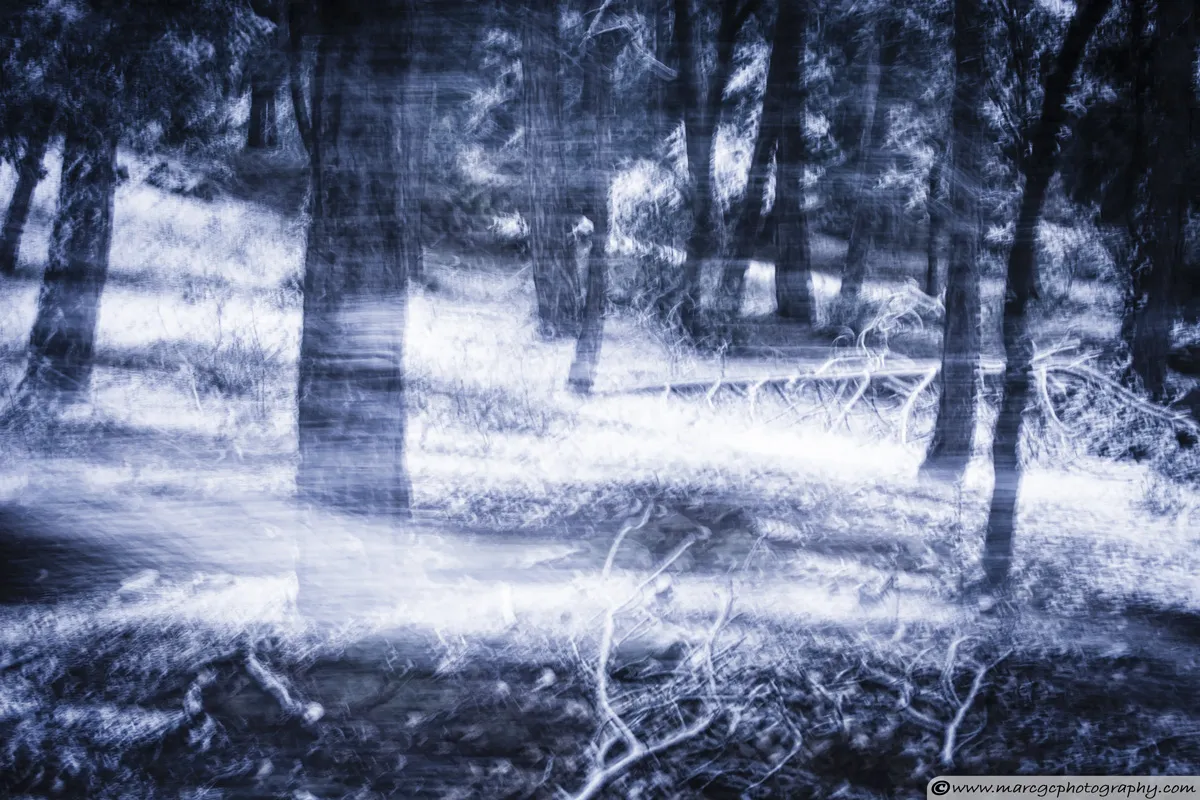 48710 off road diecast