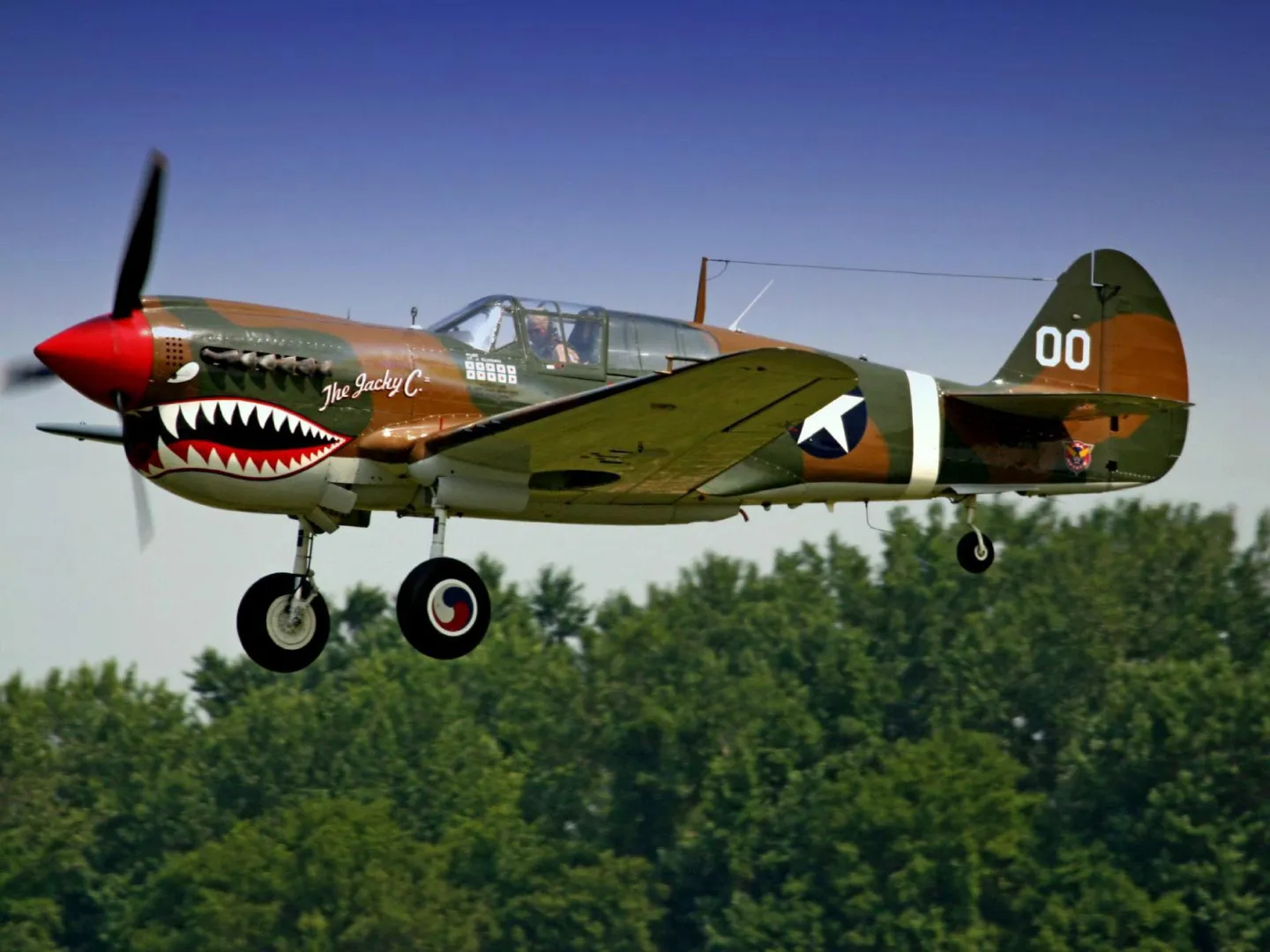 48776 p40 warhawk display collection